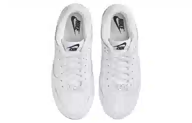 Nike Dunk SE