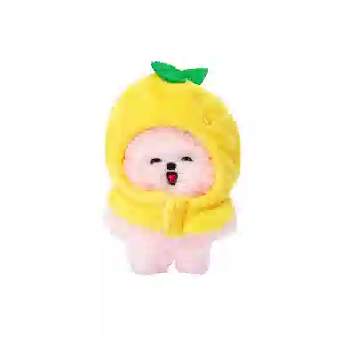 LINE FRIENDS minini