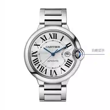 CARTIER 42mm WSBB0049