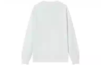Champion FW23 Basic Logo