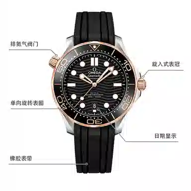 Omega Seamaster 210.22.42.20.01.002