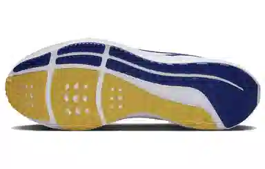 Nike Air Zoom Pegasus 40 North Carolina AT