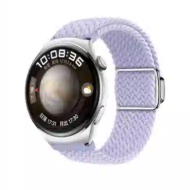 biaodaige watch4progt4gt3Magic2