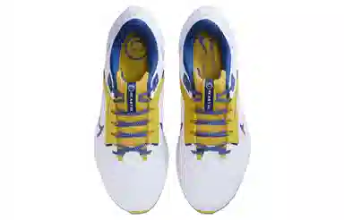 Nike Air Zoom Pegasus 40 North Carolina AT