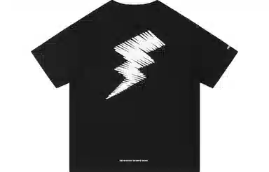 VEIDOORN x POKEMON T