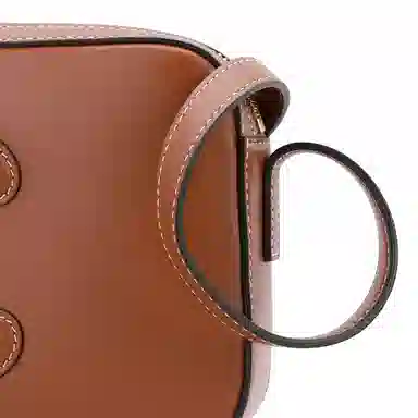 CELINE Triomphe Brown