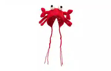 Baijuan Knitted Pullover Hat