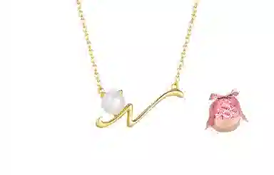 zoo jewel S925