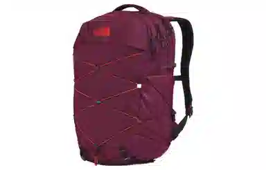 The North Face Backpack Purple