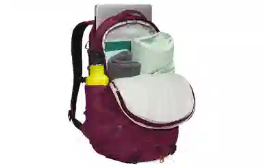 The North Face Backpack Purple