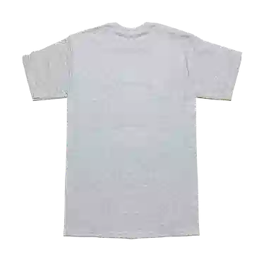 Champion T 2