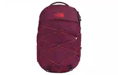 The North Face Backpack Purple
