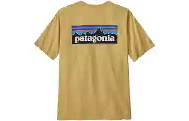 patagonia P-6Logo Responsibili LogoT