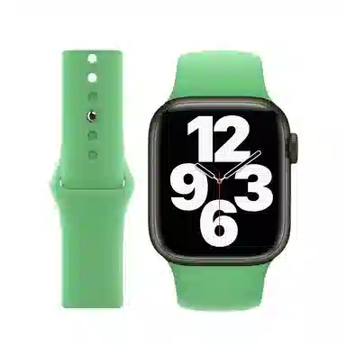 biaodaige applewatchiwatchs9ultra2