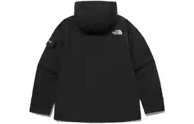 THE NORTH FACE LOGO