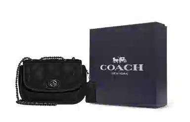 COACH Pillow 20