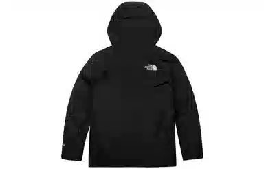 THE NORTH FACE Logo