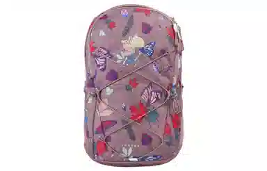 The North Face Backpack