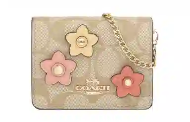 COACH Chain 10