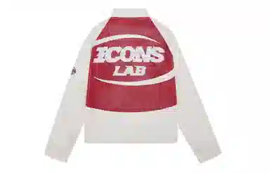 ICONS Lab pu