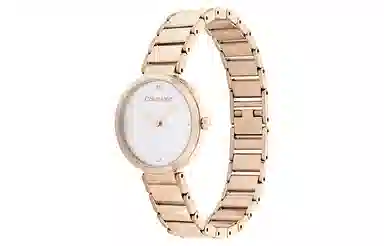 Calvin Klein 25200138