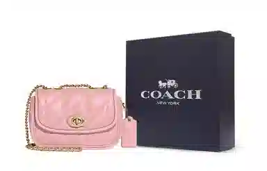 COACH Pillow 20