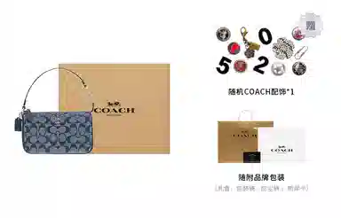 COACH Nolita 19
