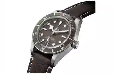 TUDOR 200 925 M79010SG-0001