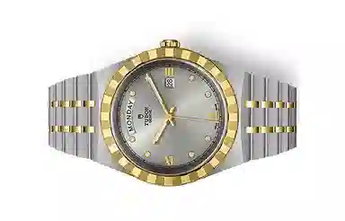TUDOR 41mm M28603-0002