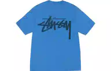 Stussy FW23 VENUS TEE PIGMENT DYED T