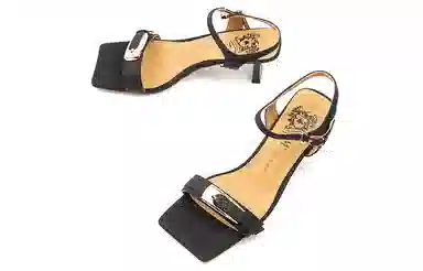 VME 6cm