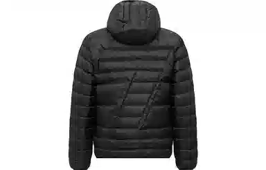 EMPORIO ARMANI EA7 FW23 Logo