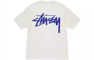 Stussy FW23 VENUS TEE PIGMENT DYED T