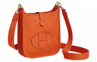 HERMES Evelyne 16 Clemence