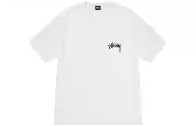 Stussy FW23 FLOWER BOMB TEE T