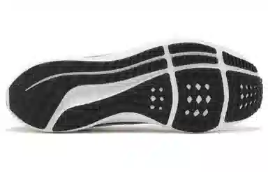 Nike Air Zoom Pegasus 39