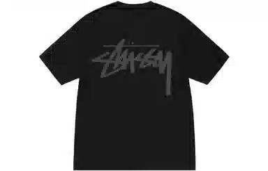 Stussy FW23 VENUS TEE PIGMENT DYED T