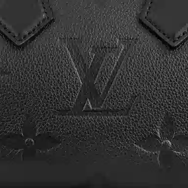 LOUIS VUITTON Speedy 20