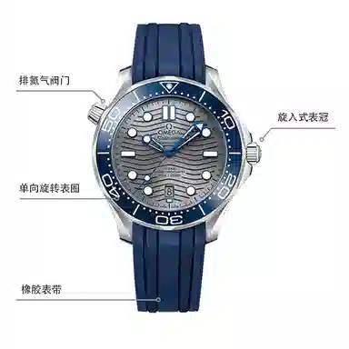 Omega Seamaster 210.32.42.20.06.001