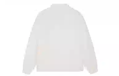 ICONS Lab POLO
