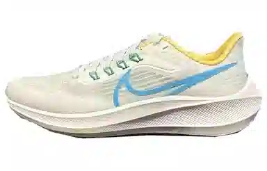 Nike Air Zoom Pegasus 39