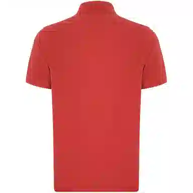 Tommy Hilfiger 1985 polo
