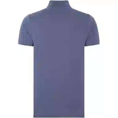 Tommy Hilfiger 1985 polo