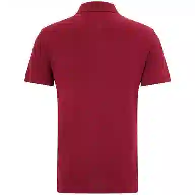 Tommy Hilfiger 1985 polo
