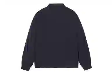ICONS Lab POLO
