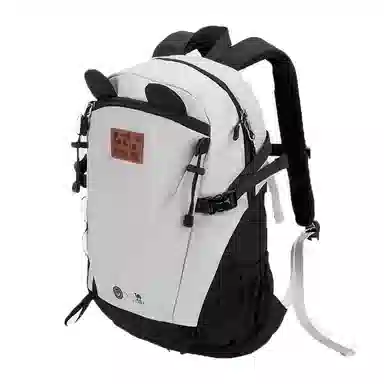 CAMEL Backpack