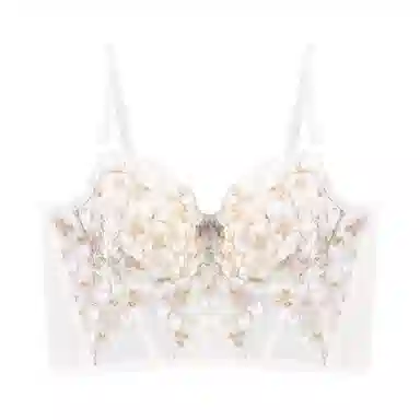 内在密码 刺绣聚拢防下垂文胸薄款文胸