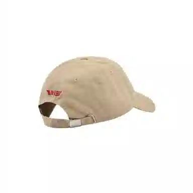 EVISU AW23 Cap
