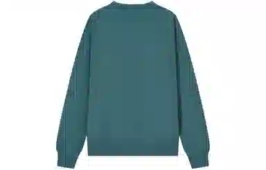 Champion FW23 Rochester C-Logo