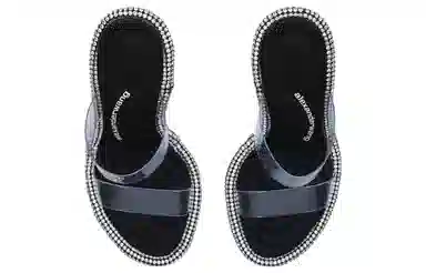 alexander wang PVC 10.5cm